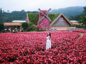 z7164133269979 10486c307ef466ecbbb9d7fb55610049