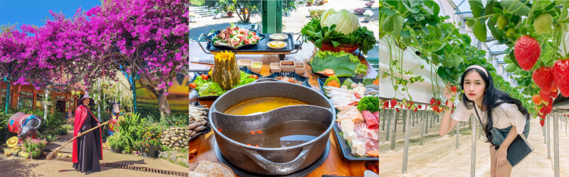 Tour Ghép Khởi Hành Từ Phú Yên Của Tropical Trip: Lựa Chọn Hàng Đầu Cho Du Khách Địa Phương 6 H5 01