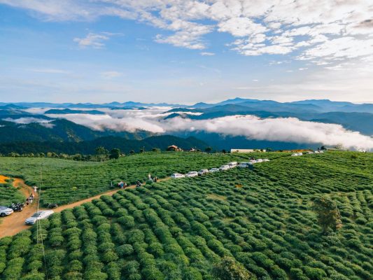 Tổng hợp các địa điểm Tham quan - Check in thơ mộng tại Đà Lạt 8 286382378 2172464909589962 211536560766167792 n