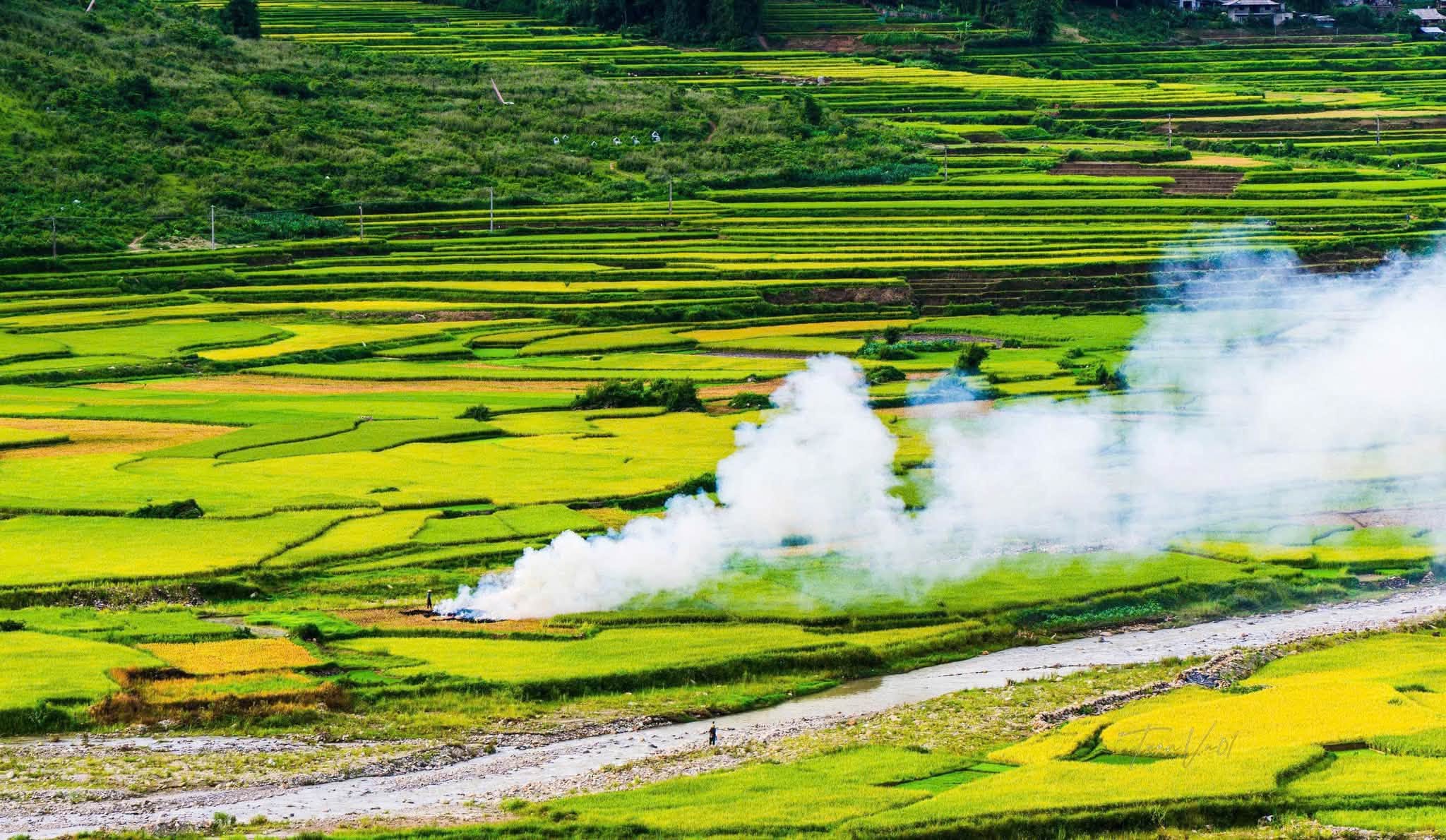Tour Mùa Vàng Tây Bắc | TP.HCM | Nghĩa Lộ | Tú Lệ | Mù Cang Chải | Sapa | Bắc Hà 5N4Đ 2 799174086 1453975273302778 7808217271852708788 n 1