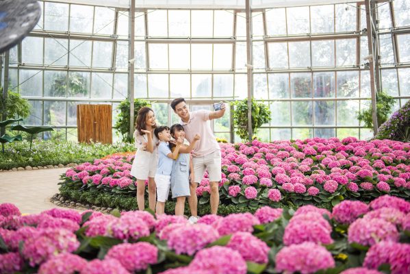 Kinh nghiệm Vi Vu từ A - Z Vinpearl Nha Trang 2026: Giá vé, lịch trình & khách sạn! 5 Hinh anh VinWonders Nha Trang The World Garden Tulip 3x2 so 3