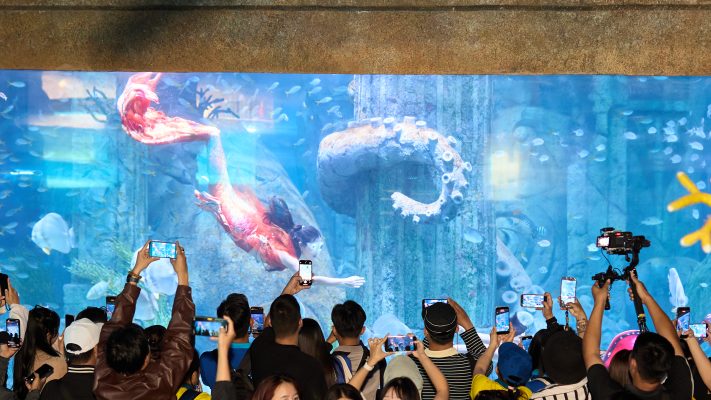 Kinh nghiệm Vi Vu từ A - Z Vinpearl Nha Trang 2026: Giá vé, lịch trình & khách sạn! 6 VINPEARL 0209