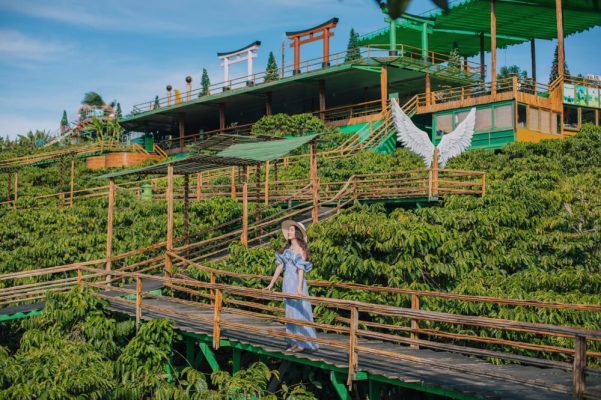 TRỌN BỘ 37 TỌA ĐỘ "SỐNG ẢO" XINH ĐẸP TẠI ĐÀ LẠT 29 cafe me linh