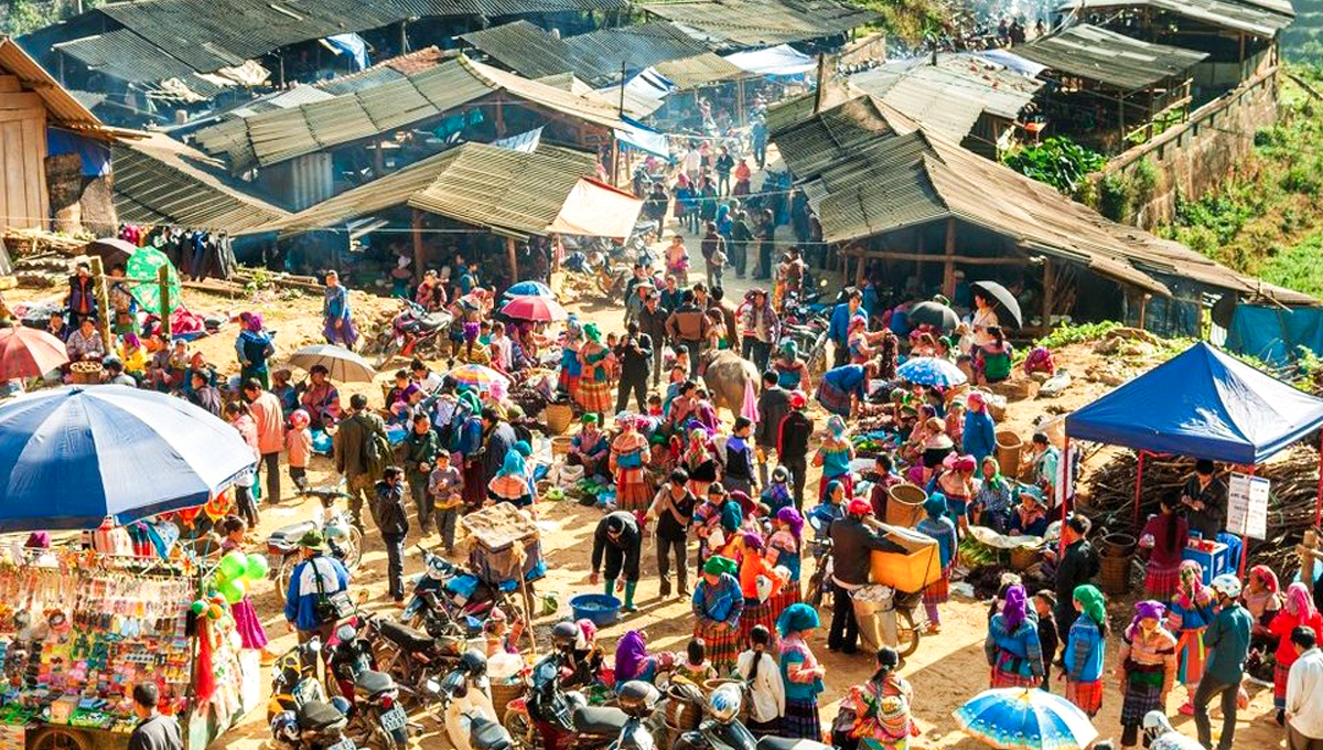 Tour Mùa Vàng Tây Bắc | TP.HCM | Nghĩa Lộ | Tú Lệ | Mù Cang Chải | Sapa | Bắc Hà 5N4Đ 4 chobacha 2