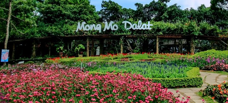 TRỌN BỘ 37 TỌA ĐỘ "SỐNG ẢO" XINH ĐẸP TẠI ĐÀ LẠT 43 doi mong mo da lat banner