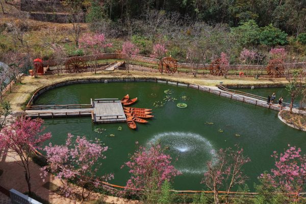TRỌN BỘ 37 TỌA ĐỘ "SỐNG ẢO" XINH ĐẸP TẠI ĐÀ LẠT 12 fresh 1