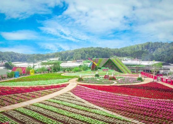 TRỌN BỘ 37 TỌA ĐỘ "SỐNG ẢO" XINH ĐẸP TẠI ĐÀ LẠT 33 lang hoa van thanh 1