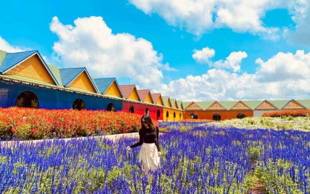 TRỌN BỘ 37 TỌA ĐỘ "SỐNG ẢO" XINH ĐẸP TẠI ĐÀ LẠT 34 lang hoa van thanh da lat