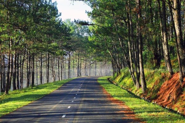 TRỌN BỘ 37 TỌA ĐỘ "SỐNG ẢO" XINH ĐẸP TẠI ĐÀ LẠT 45 thung lung vang 3