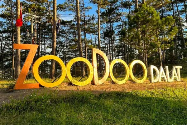 Tổng hợp các địa điểm Tham quan - Check in thơ mộng tại Đà Lạt 13 zoodoo